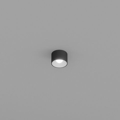 Spotlight Skarlat RSLC78029 8W BK+WH 3000K s1694983 photo