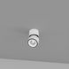 Spotlight Skarlat RSLC7560 28W WH+BK 4000K s61336 photo 1