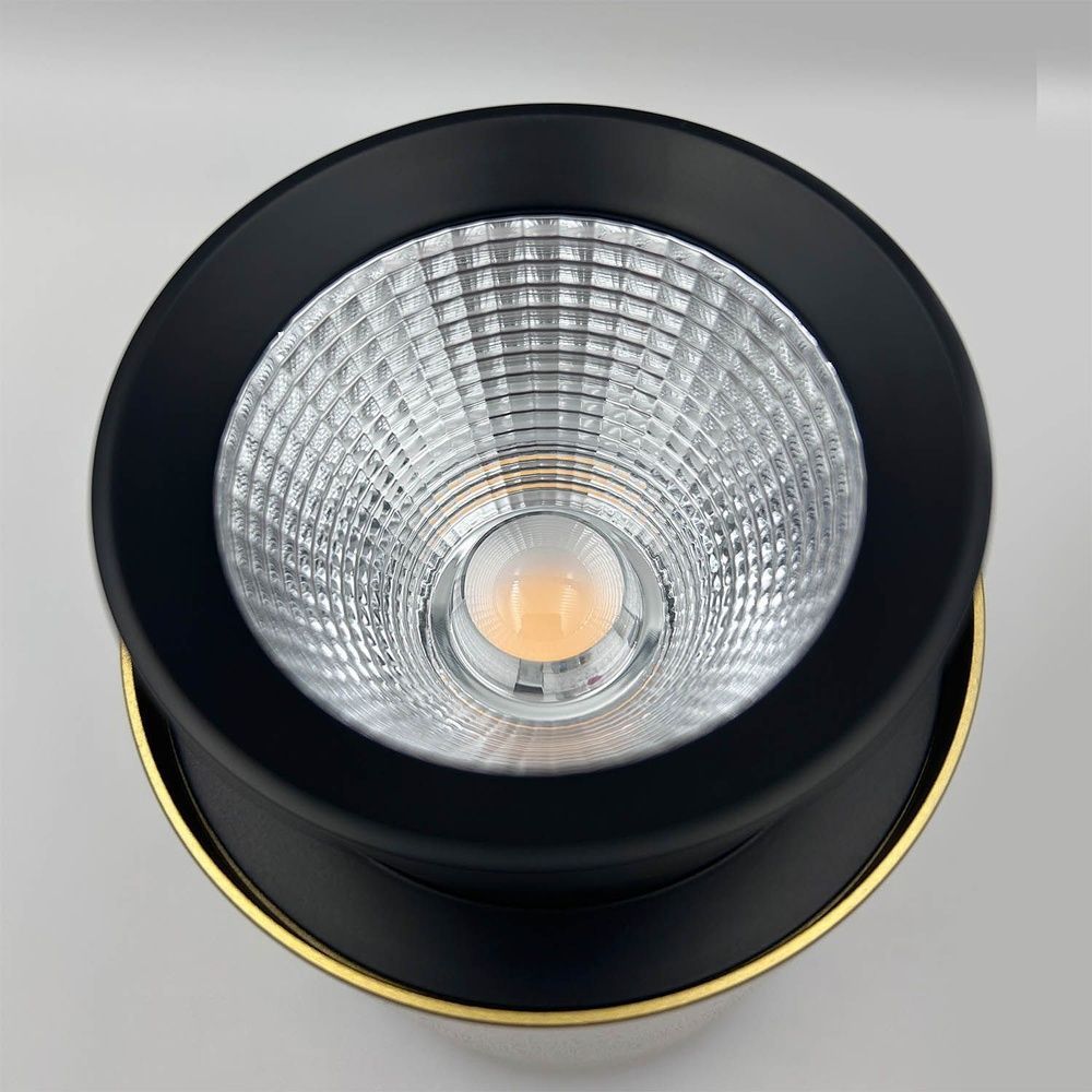 Ceiling lamp Skarlat RSLC78015 15W GD+BK 3000K s1695408 photo