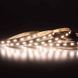 Мультибелая светодиодная лента Ustrip LED120-2835-TW-24V-24W MIX a000072 фото 3